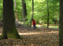 2011-05-07 KPF Wald 14.jpg